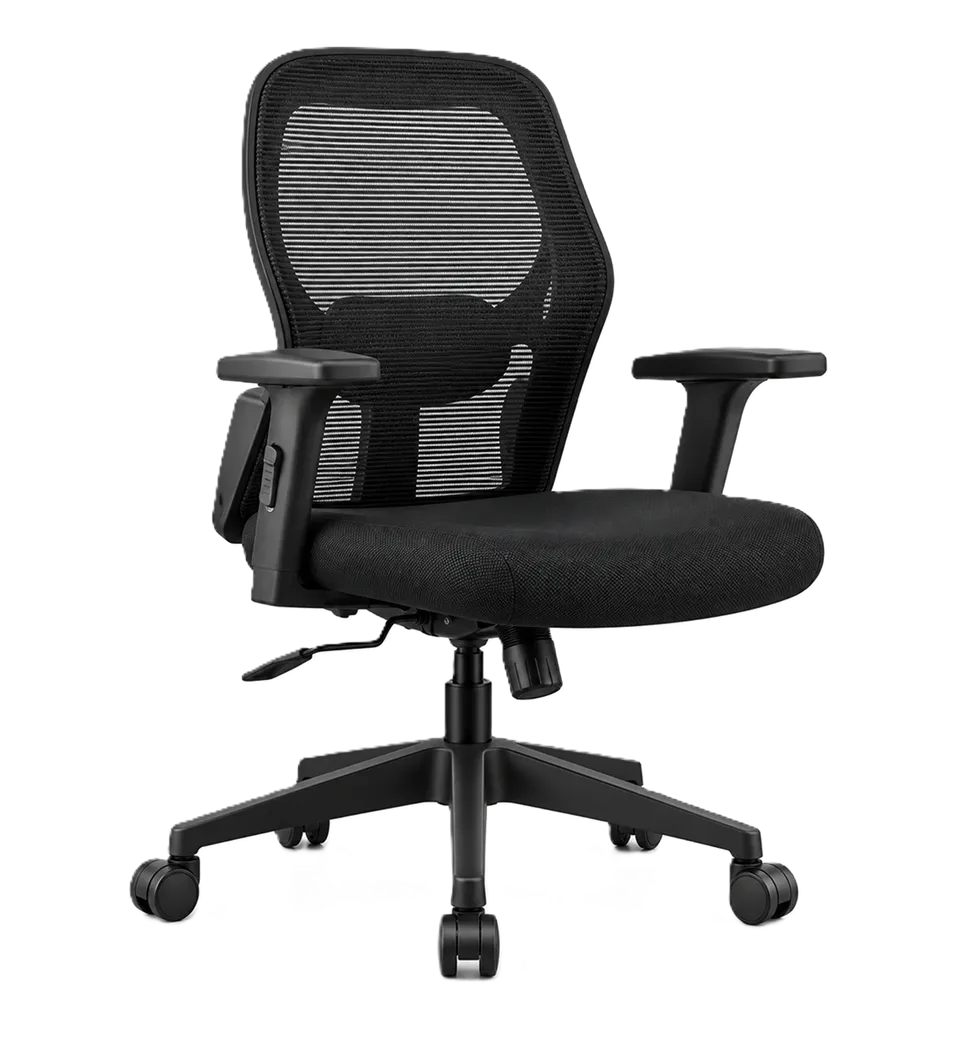 Computer chair by Regalia Inc
